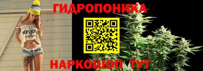 СК Бузулук
