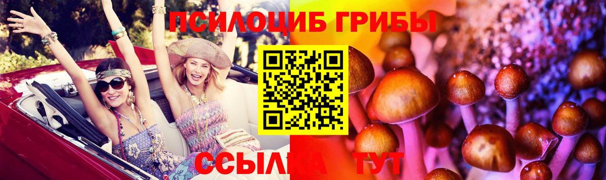 Первоуральск  Псилоцибиновые грибы мицелий  купить наркотики цена  Вход с VPN  Псилоцибиновые грибы Psilocybe 